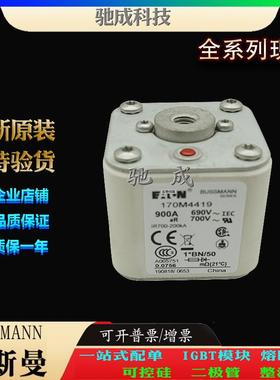 巴斯曼170M4419 170M4438 170M4439 长期销售 方体熔断器