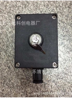 防爆防腐带锁开关 BCS-10A-G-S1/1D