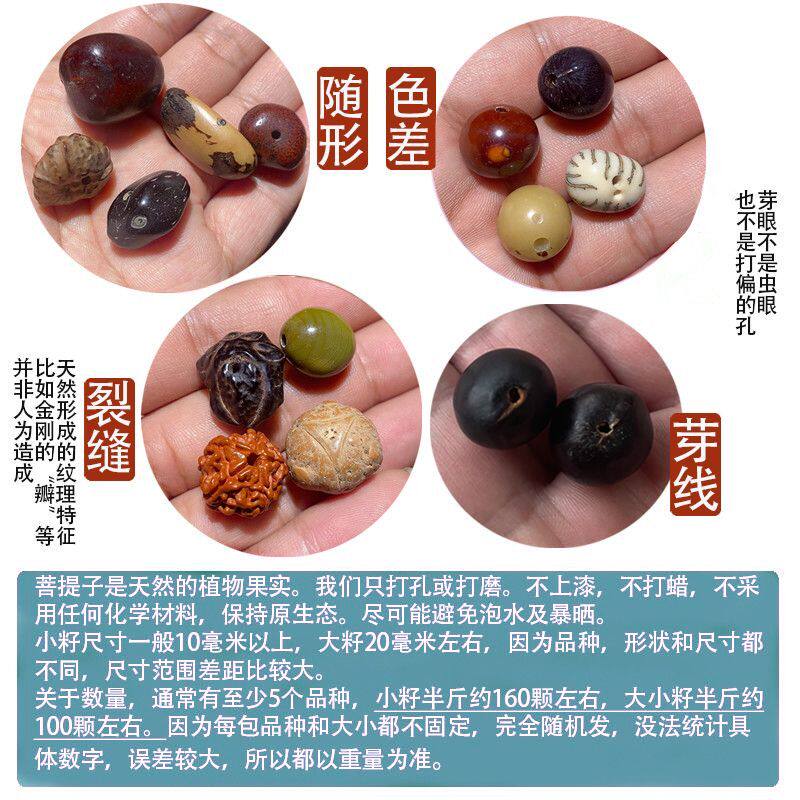 多种菩提子麒麟眼无患子凤眼龙眼菩提