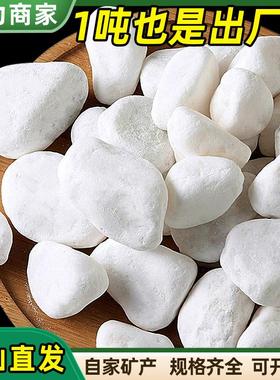 白色鹅卵石碎雪花白盆栽装饰白石子鹅卵石园艺庭院造景白色砾石