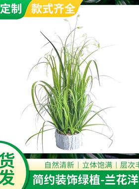 仿真洋葱草盆栽小兰花 家居装饰品仿真花盆栽 迷你洋葱草盆栽