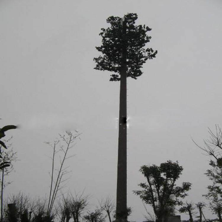 钢结构镀锌圆管圆杆独杆单管q 235q 345树枝树皮树形状塔仿生树塔,鲜花速递/花卉仿真/绿植园艺,割草机/草坪机,淘宝优惠券,粉丝福利购,淘宝优惠卷