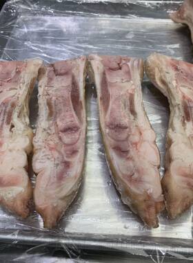 W达瑞宝DRB-ZT100锯骨机台式商用切骨机冻鱼冻肉猪脚切半机器猪蹄