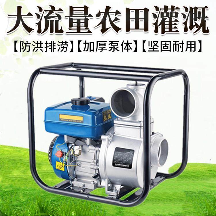 手抬式机动泵 小型防汛便携式抽水泵 2寸3寸4寸6寸柴油小型抽水机,鲜花速递/花卉仿真/绿植园艺,割草机/草坪机,淘宝优惠券,粉丝福利购,淘宝优惠卷