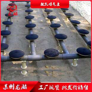 苏州龙瀚污水处理215橡胶盘式膜片微孔曝气器 曝气管微孔曝气盘
