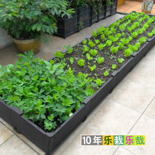 阳台种菜盆种菜箱黑30宽60种菜架子工具楼顶种菜种植箱特大长方形