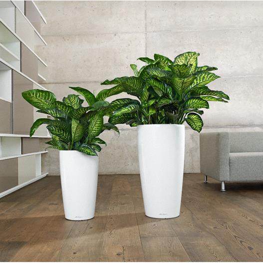 欧式简约现代自吸水懒人花盆高筒圆形室内客厅落地大号水培盆厂家,鲜花速递/花卉仿真/绿植园艺,割草机/草坪机,淘宝优惠券,粉丝福利购,淘宝优惠卷