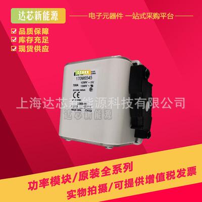 170M6538 170M6539 170M6540 170M6541 170M6542 170M6543熔断器