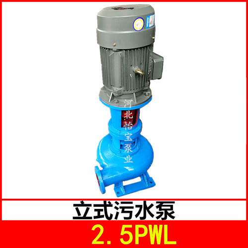 2.5PWL 立式污水排污泵工厂企业污水处理