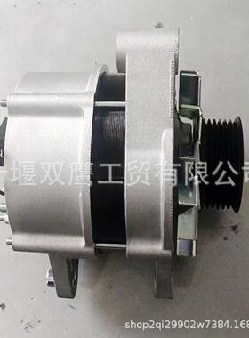 11.204.986 AAK4653马勒交流发电机MG791 14V120A适用山猫7238762