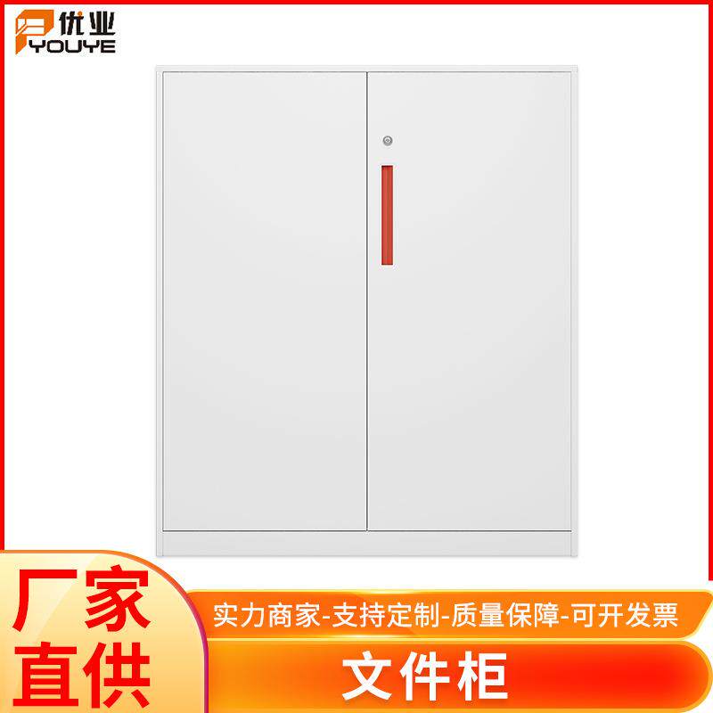 厂家钢制文件柜办公室落地小型储物柜文件档案柜子颜色可定