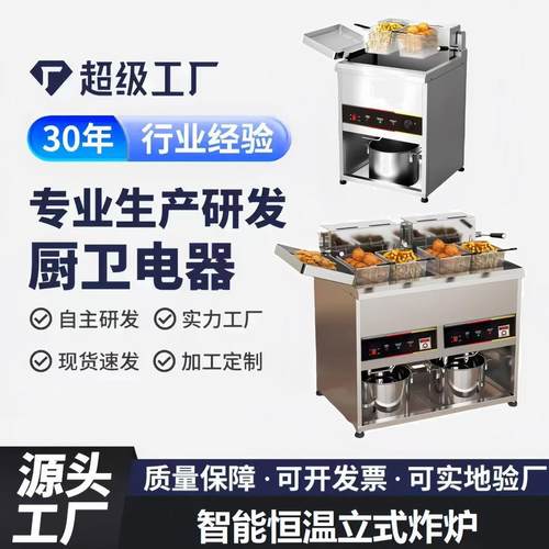 商用电热大容量立式油炸锅炸鸡排机器双缸恒温油条机炸串机电炸炉