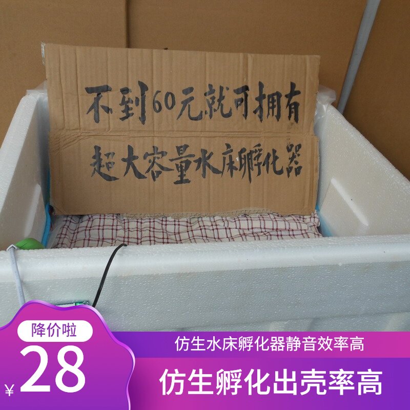 自制自动控温小型家用型水床孵化器小鸡鹌鹑鸽子蛋孵化机孵蛋器箱