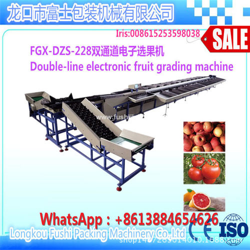 富士源头工厂果品打蜡上光机水果蔬菜清洗打蜡分选机