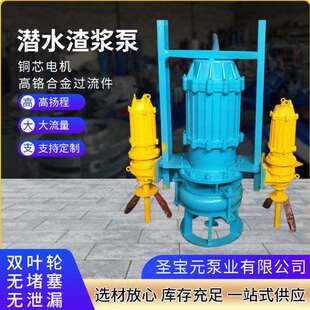 现货潜水渣浆泵电动式抽沙泵市政工程耐磨吸砂河底清淤沙场泵