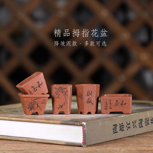 拇指盆 原矿降坡泥 全手工紫砂微型盆  多款