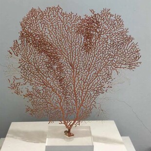 海印象海洋新中珊瑚树摆件创意客厅酒店书房家居软装饰摆设工艺品