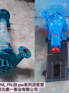 2PNL泥浆泵3PN泥浆泵叶轮浮筒泥浆泵打桩机用泥浆泵配件PW污水泵