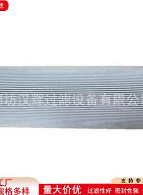 311433 01NL.40.10VG.30.E.P工业设备液压过滤器先导滤芯