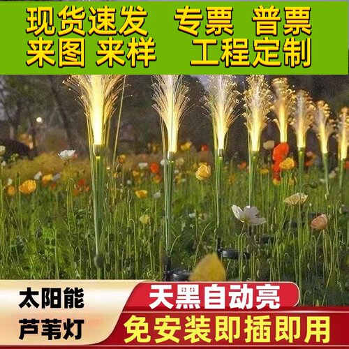 太阳能光纤芦苇灯户外景观灯公园别墅地插灯小院装饰草坪灯