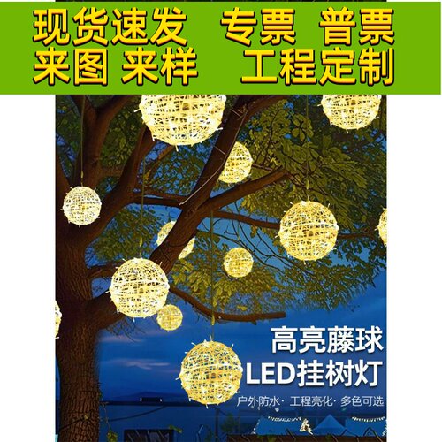 Led柚木球灯新年彩灯闪烁串灯星空灯户外景观挂在树球装饰