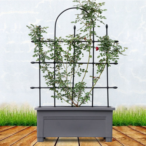 爬藤架黄瓜豆角支架牵牛花攀爬架组装爬藤花屏花架月季铁线莲