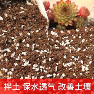 珍珠岩颗粒养花用营养土拌土园艺多肉兰花发根蛭石扦插用乌龟孵化