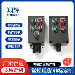 防爆防腐操作柱防水防尘按钮盒按钮开关盒就地操作箱厂家防腐防爆