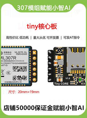 小尺寸20Mm*19Mmml307R核心板4g模块小智爱虾仁Esp32S3