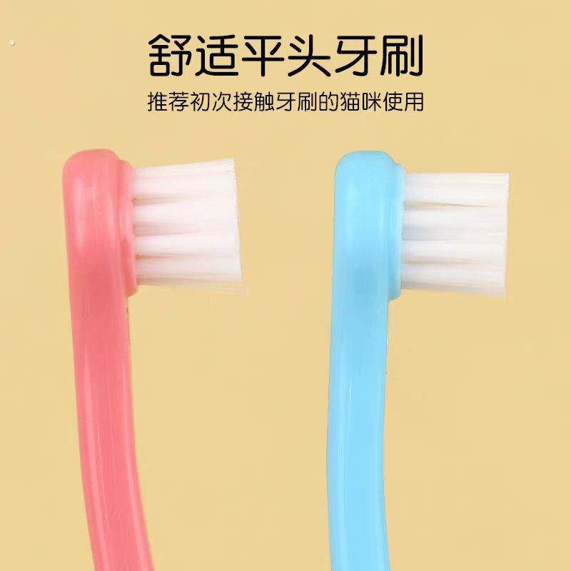 网红圆头软毛宠物牙刷猫咪刷牙小型牙齿清洁用品狗狗一次性牙刷