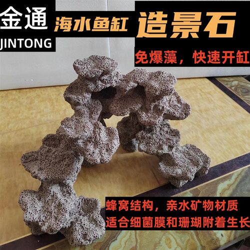 海水鱼缸 造景石 珊瑚基座 吸水石 珊瑚礁石 过滤替代活石 培菌石