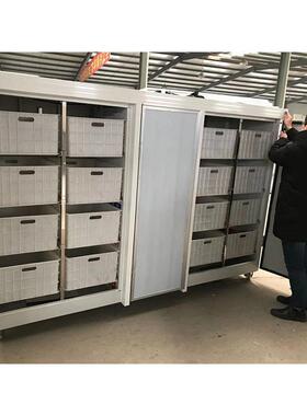 Bean sprout machine黄豆芽苗菜自动培育机 箱式黄豆绿豆出芽机