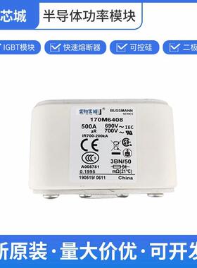 170M6408 高压户外熔断器 保险丝 巴斯曼 数量充足批次23+