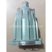 防爆视孔灯 100防爆灯视孔灯 反应釜专用防爆筒灯 BAS51