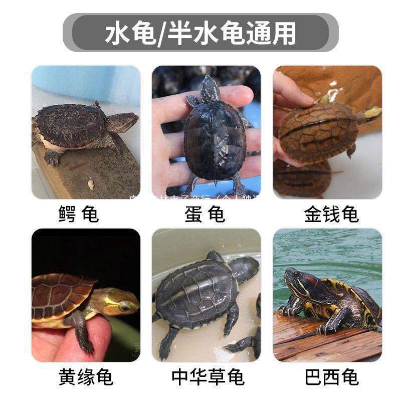 大型乌龟缸种龟箱别墅带晒台排水产蛋网格塑料饲养龟池繁殖专用缸