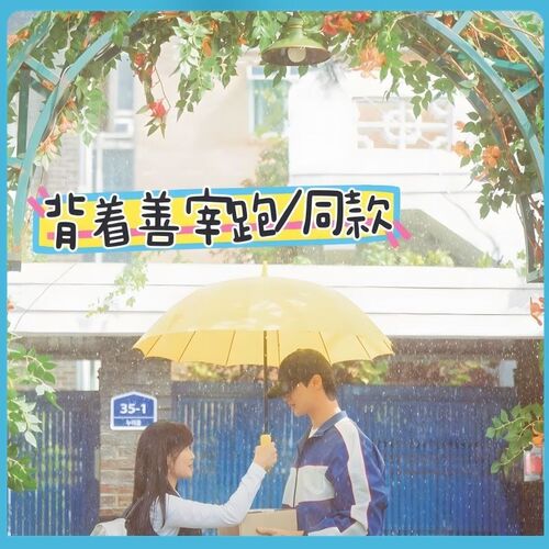 长柄雨伞大号加大加固加厚男士晴雨两用女抗风暴双人直杆