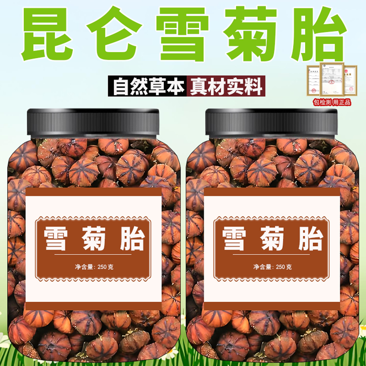 雪菊胎干花苞代用茶昆仑雪菊胎花草干货花苞花草茶散装花茶原材料