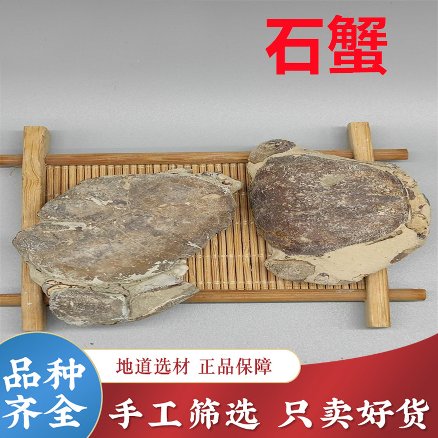 石蟹 中药材 500克包邮 正品石螃蟹 蟹化石 大石蟹 新货