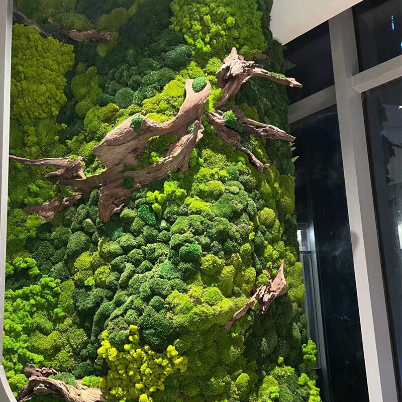 青苔造景微景观摆件迷你仿真树仿真绿植装饰盆景多肉配件多款绿植