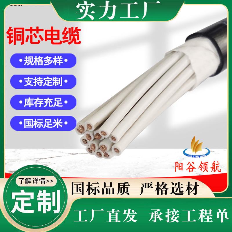 阳谷电缆特种电缆定 制加工国标铜芯电力电缆控制屏蔽电缆电线