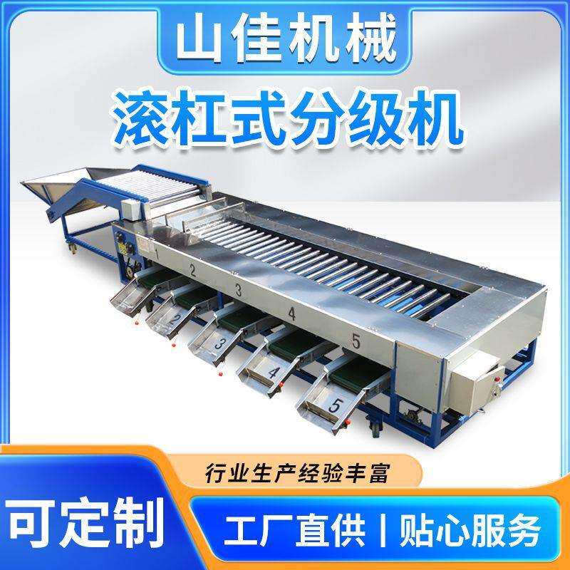 小番茄大小分选机 西梅尺寸分级机 青椒冬枣选果机清晰风干分级机