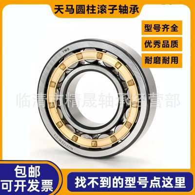 天马TMB轴承N NU NJ RN NUP NF 312 313 314 315 EM M C3 P5 旋转