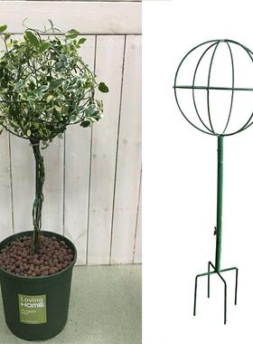 落地式爬藤架球形花插铁艺田园复古绿色铁线莲风车茉莉攀爬架支架