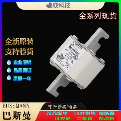 巴斯曼170M4309 170M4310 170M4311 厂价直销批零兼营 低压熔断器