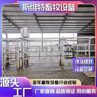 牛群分群门热镀锌材质养殖场智能分群管理系统减少人工提高效率