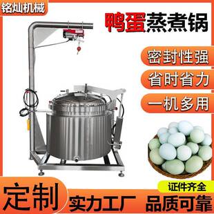 红薯凉粉熬制锅卤味花生电加热夹层锅豆浆蒸煮设备鸭蛋卤煮锅