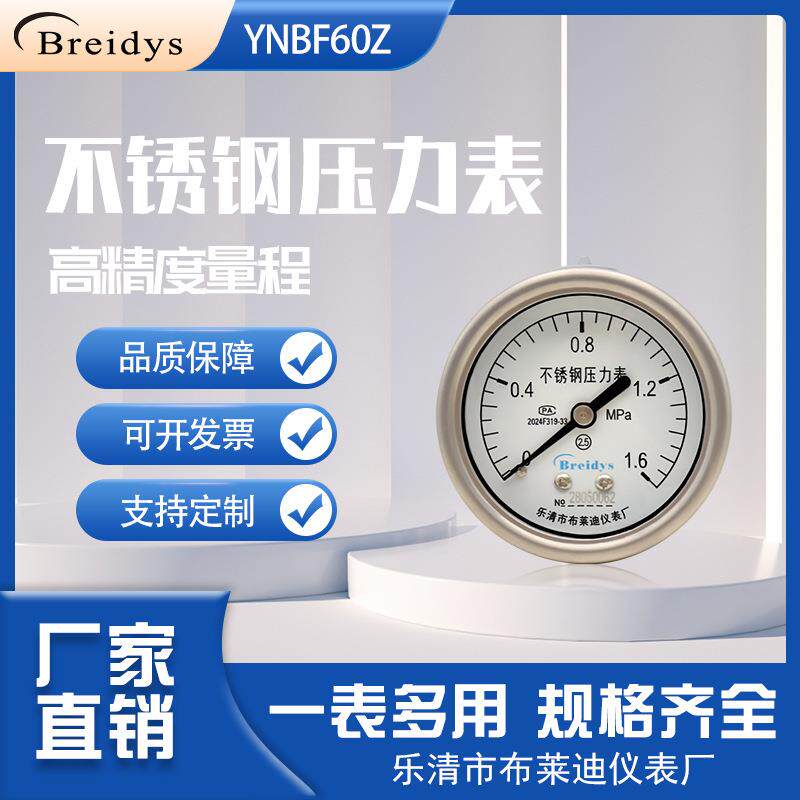 进口式不锈钢压力表EN-837耐酸碱耐腐蚀水压气压液压高精度压力表
