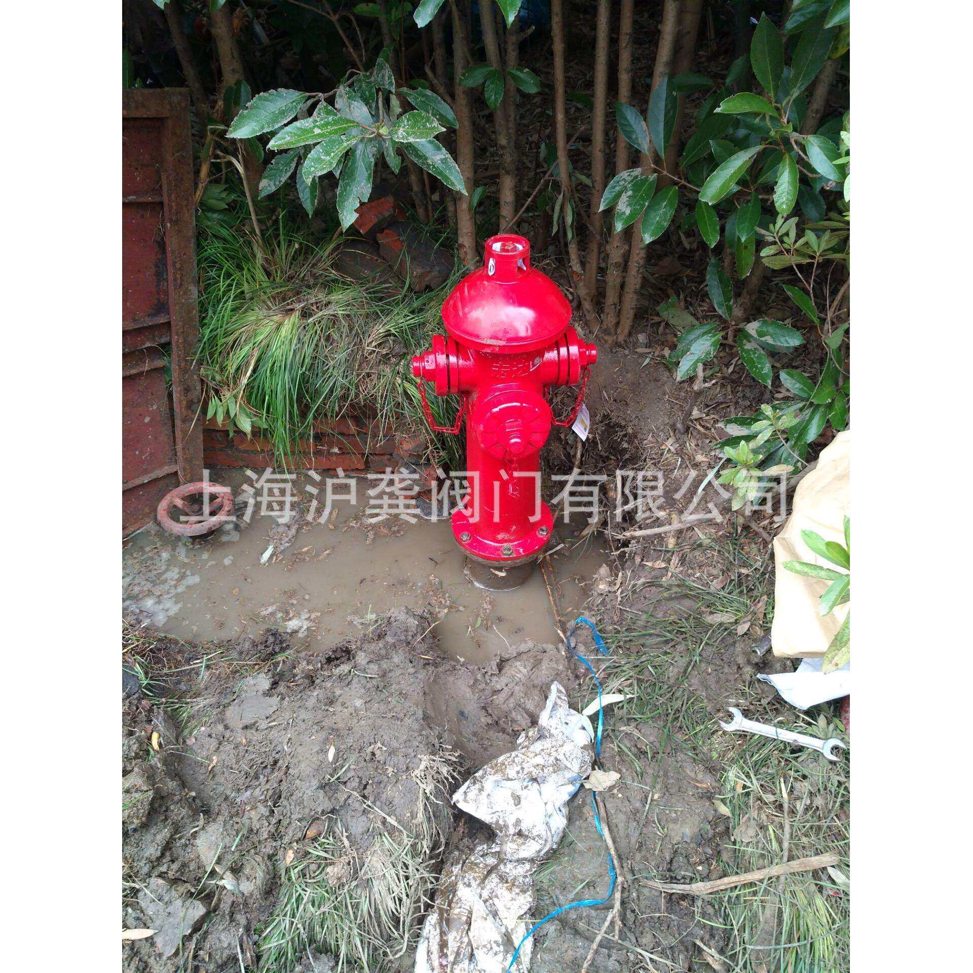 鼎梁室外栓 山东鼎梁地上栓 室外消火栓 水泵接合器 SS100/65-1.6