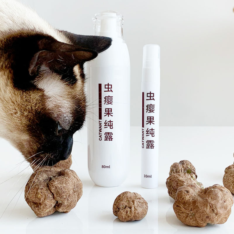 猫咪旺农场木天蓼虫瘿果纯露喷雾便携调节情绪安抚减压互动玩具