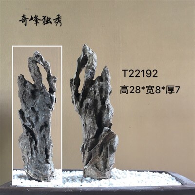 盆景附树抱石条形英德石书房文案清供摆件造配景观赏天然真奇石头